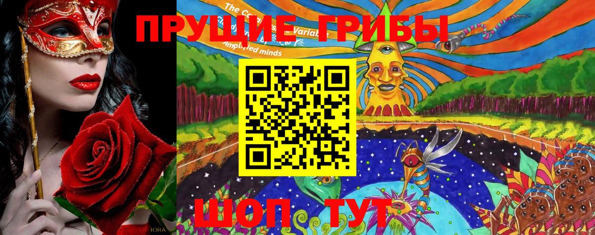 Псилоцибиновые грибы GOLDEN TEACHER Светлоград