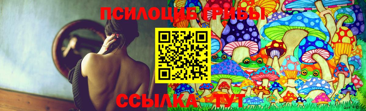 как найти закладки  Вход с VPN  Псилоцибиновые грибы Psilocybine cubensis  Светлоград  Псилоцибиновые грибы мицелий 